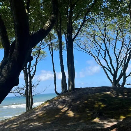 Vakantiehuis Moja Debina Lux 1, Z Pokojem Dziennym, Jedna Sypialnia I Antresola, Blisko Plazy