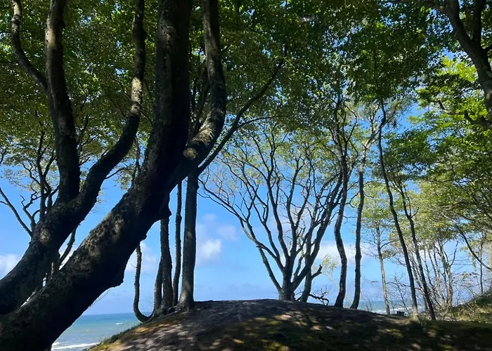 Moja Debina Lux 1, Z Pokojem Dziennym, Jedna Sypialnia I Antresola, Blisko Plazy 度假居 Debina (Ustka)