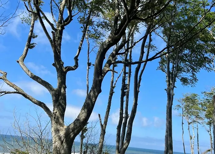 Moja Debina Lux 1, Z Pokojem Dziennym, Jedna Sypialnia I Antresola, Blisko Plazy *