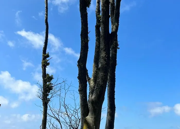 Moja Debina Lux 1, Z Pokojem Dziennym, Jedna Sypialnia I Antresola, Blisko Plazy 度假居 Debina (Ustka)